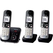 Telephone sans fil PANASONIC KXTG 6823 FRB