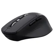 Souris TRUST 26021