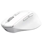 Souris TRUST 26022
