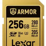 Carte mémoire LEXAR SDXC PRO GOLD ARMOR 256 V 60