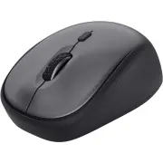 Souris TRUST 24549