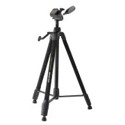 Pied CULLMANN C 51381