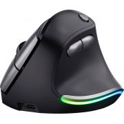 Souris TRUST 24731