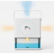 Déshumidificateur EZICLEAN DRYFLOWMAX