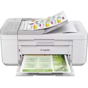 Imprimante multifonction CANON TR4756I