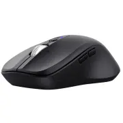 Souris TRUST 25673
