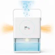 Déshumidificateur EZICLEAN DRYFLOWX