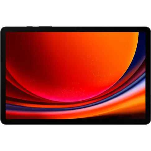 Samsung Galaxy Tab S9 Anthracite 256 Go - SM-X710NZAEEUB - 4