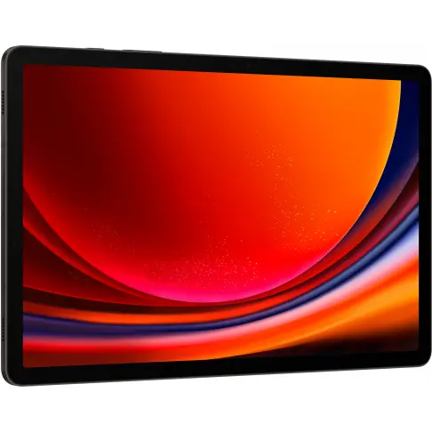 Samsung Galaxy Tab S9 Anthracite 256 Go - SM-X710NZAEEUB - 7
