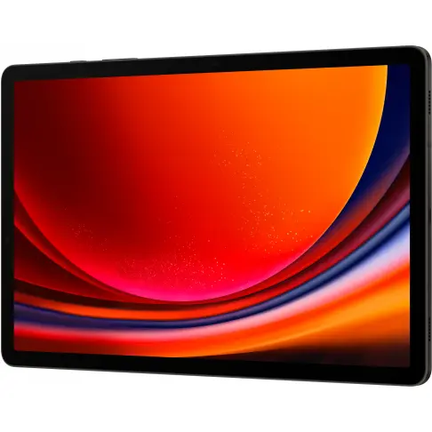 Samsung Galaxy Tab S9 Anthracite 256 Go - SM-X710NZAEEUB - 9