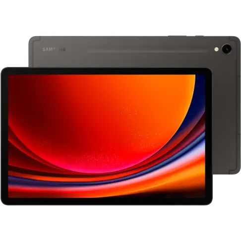 Samsung Galaxy Tab S9 Anthracite 256 Go - SM-X710NZAEEUB - 1