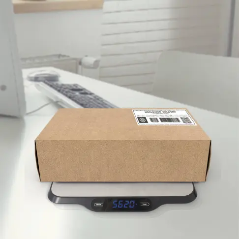 Balance de cuisine LITTLE BALANCE 8123 - 1