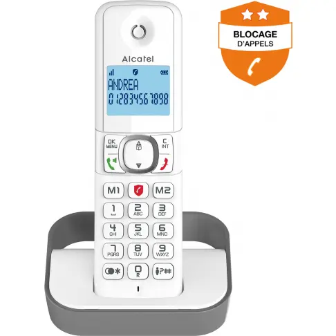 Téléphone sans fil ALCATEL F860VOICETRIOGREY - 3