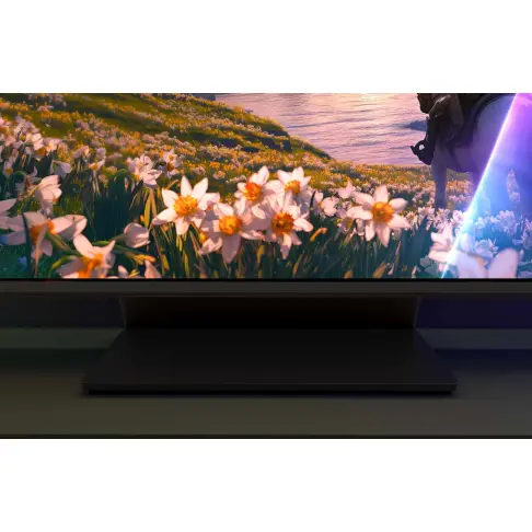 Télé led 43'' PHILIPS 43PUS8600/12 - 5