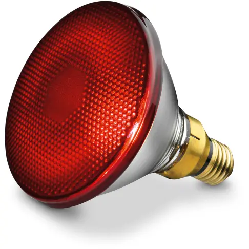 Luminothérapie BEURER IL21 - 2