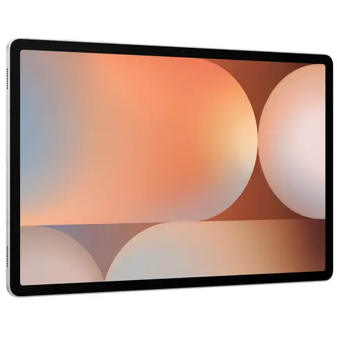 Samsung Galaxy Tab S10+ Argent 256 Go - SM-X820NZSREUB - 3