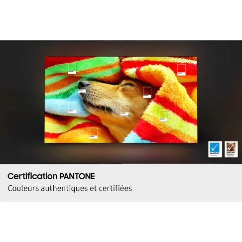 Tv oled 65'' SAMSUNG TQ65S85F - 8