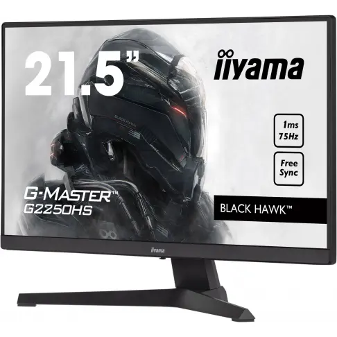 Moniteur IIYAMA G2250HS-B1 - 3