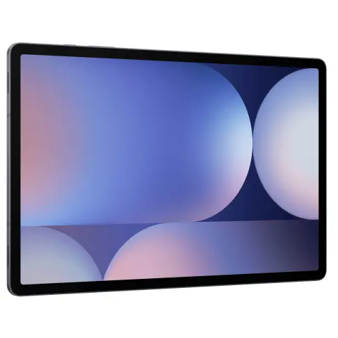Samsung Galaxy Tab S10+ Gris 512 Go - SM-X820NZAPEUB - 2
