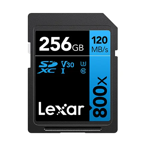 Carte mémoire LEXAR 1001430153 - 1