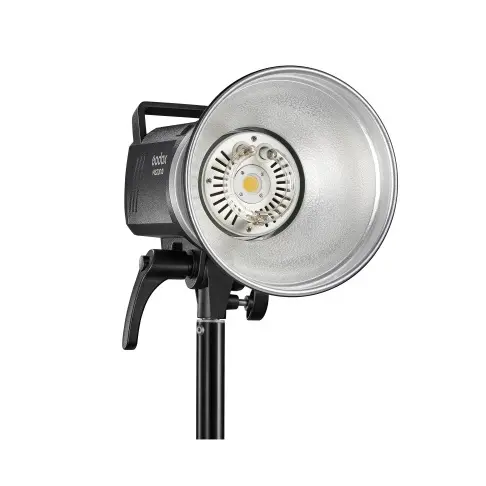 Flash GODOX MS 200 V - 1