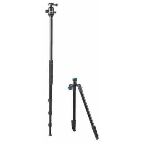 Pied CULLMANN 1490024 - 5