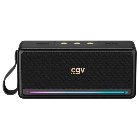 Enceinte nomade CGV SOLIDVIBEMAX - 2