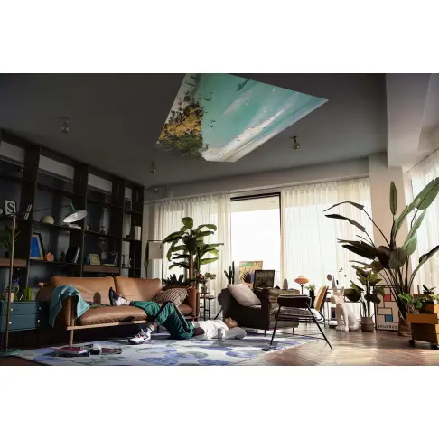 Vidéoprojecteur SAMSUNG SP-LFF3CLAXXXE - 19