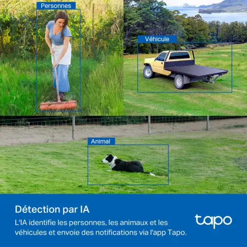 Caméra 4g TPLINK TC40GW - 7