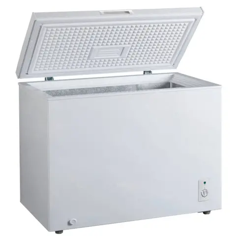 Congélateur coffre FRIGELUX CCO300BD - 1